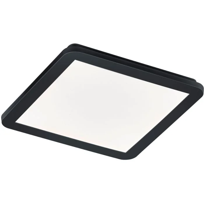 Trio Camillus R62931832 zwarte badkamer plafondlamp