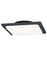 Trio Trave 620160142 plafondlamp antraciet